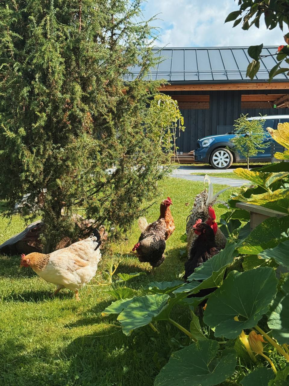 Добро завжди повертається…