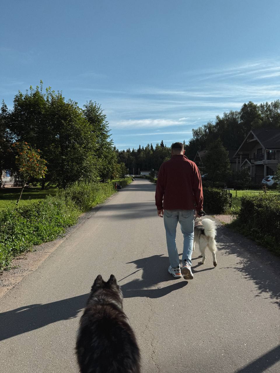 Ти сама винна. Ніхто тебе не просив усе життя біля мами сидіти. Це твій вибір. А тепер – будь добра, або продаєш, або будемо судитися. Брат пішов, грюкнувши дверима. А Ніна сіла і знову дивилася в вікно. На кухні було тихо. Тільки годинник цокав, як той вирок. Через тиждень прийшов лист – від юриста. Тарас подав заяву на оскарження заповіту. Мовляв, мати була недієздатна, його позбавили права несправедливо. Судові засідання тривали кілька місяців. Тарас розповідав, що мама його любила, що хотіла йому допомогти, що сестра все провернула нишком. Коли суд підтвердив дійсність заповіту, Тарас не вибачився. Лише сказав: – Ну, живи. Але більше я не переступлю поріг цього дому. І ти в мою хату не приїзди