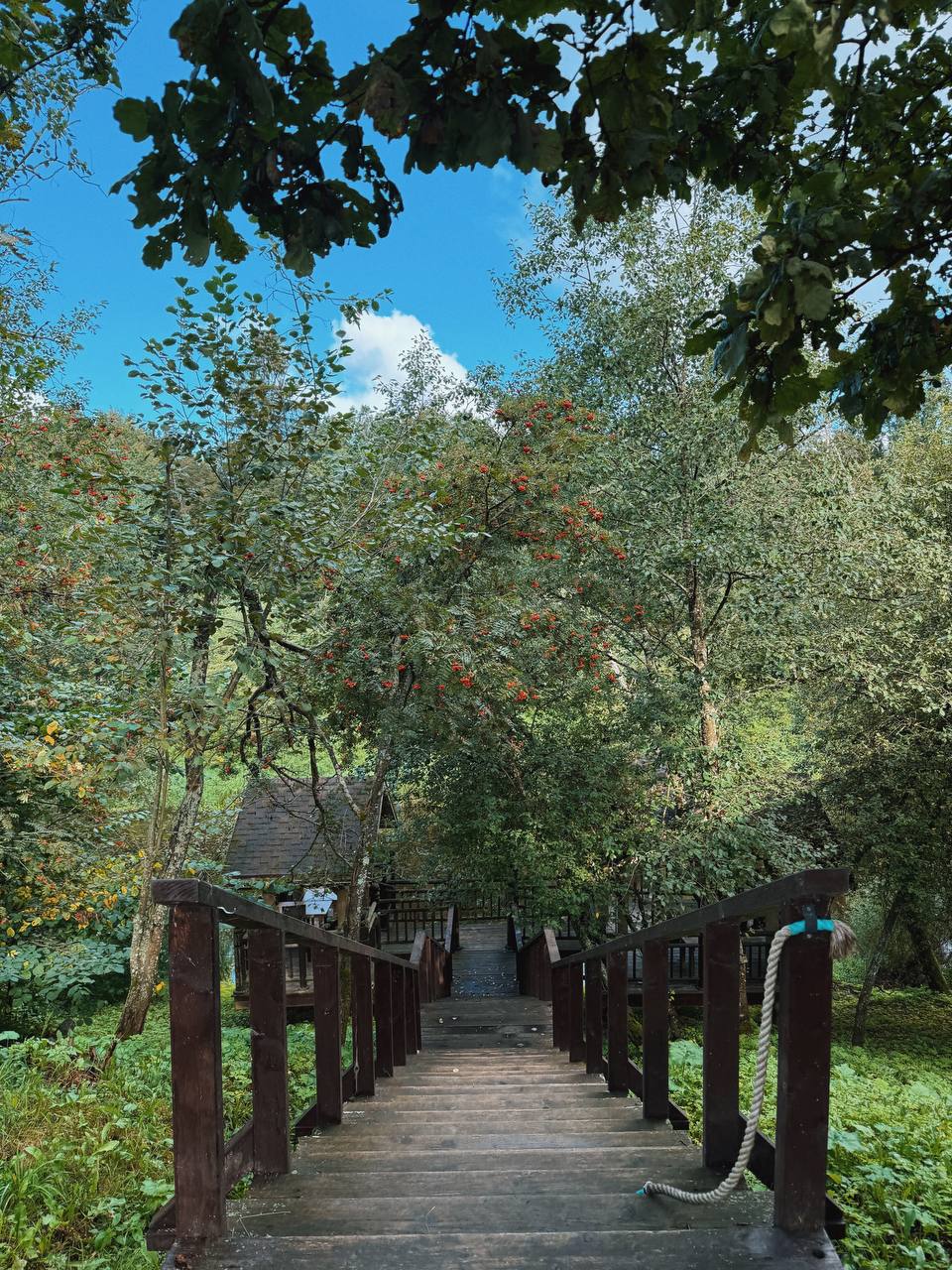 – Мамі може не сподобатися, що ми разом живемо, – сказав Павло, і виставив мене з квартири проти ночі