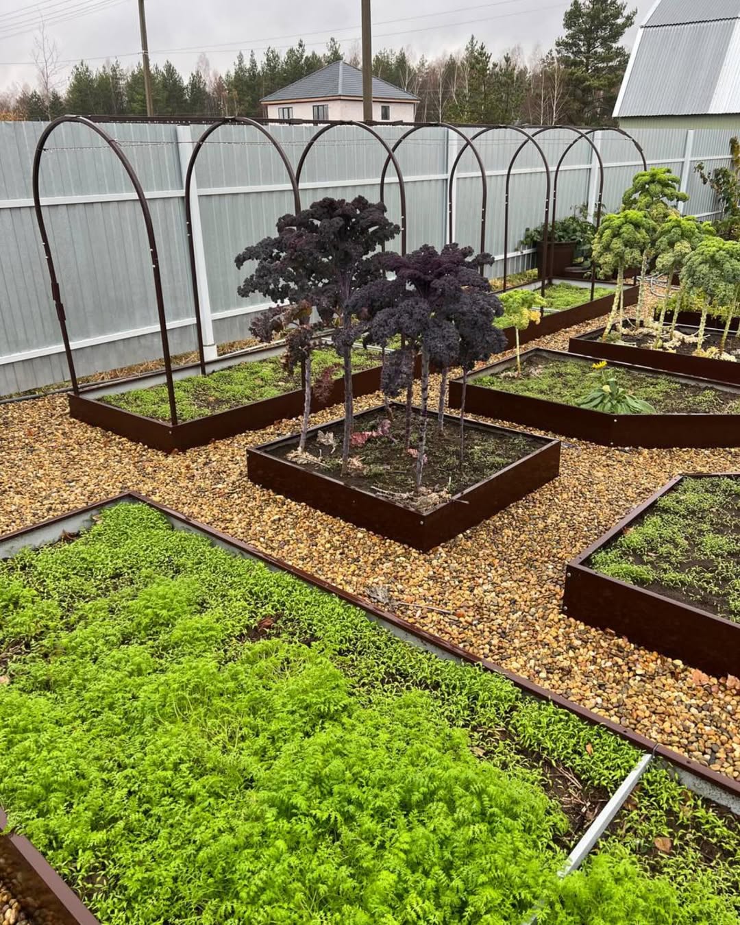 Ніна з Михайлом одружилися два роки тому. Молода сім’я мала труднощі і свекруха Варвара Павлівна запропонувала пожити в неї. Квартира свекрухи була простора – три кімнати, великий балкон. Ніна була не з глухого села, та й у місті в неї були родичі, але свекруха говорила з нею як із простачкою, вчила всьому, аж до миття посуду. Ніна старалася, мовчала. Не в своїй хаті живе ж, і не бути їй тут ніколи хазяйкою. Свекруха раділа, але вигляду не показувала. А Ніна була слухняна, старанна, не скаржилася. Про свекруху вона мовчала. Не говорила ні погано, ні добре. – Нормально, – відповідала вона, якщо питали. І тут сталася несподівана подія…