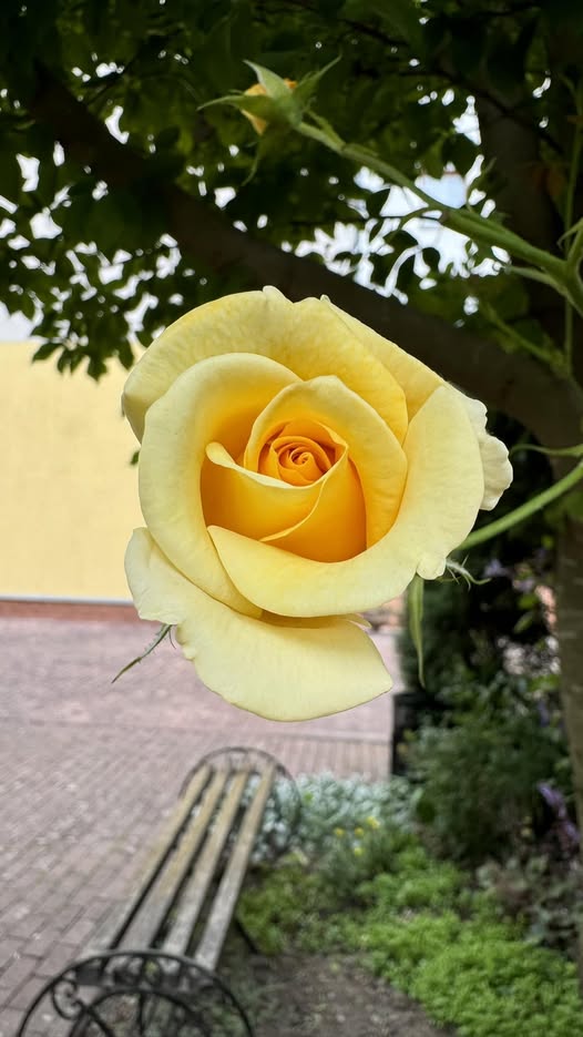 В Італії гроші я заробляю для себе, дітям нічого не даю. Дві мої молодші невістки нормально до цього ставляться, а от старшій, Зоряні, мій будинок спокою не дає. Вона не розуміє, як я можу так розкошувати, коли у них є великий борг. Зоряна так мені прямо і каже, що я маю їм допомогти. – Та нам ніхто не вірить, що у нас мама заробітчанка, і що вона нам нічим не допомагає, – каже мені невістка за столом