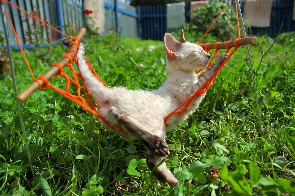 Ніні було чутно, як невістка говорила якісь незрозумілі слова, які явно стосувалися її роботи. Спілкування Віки затягнулося, Ніна сиділа одна з чаєм і свердлила поглядом принесені невісткою пакети. Вони стояли біля холодильника і жінка вирішила зазирнути всередину, не знаходячи сили, щоб контролювати свою цікавість. В одному пакеті вона побачила червону рибу, багет, червону ікру, м’ясну нарізку, ананас та інші фрукти. В іншому пакеті зверху стирчала коробка цукерок, а що було під низом, вона не встигла розгледіти, бо розмови невістки стихли, і вона могла будь-якої секунди повернутися на кухню