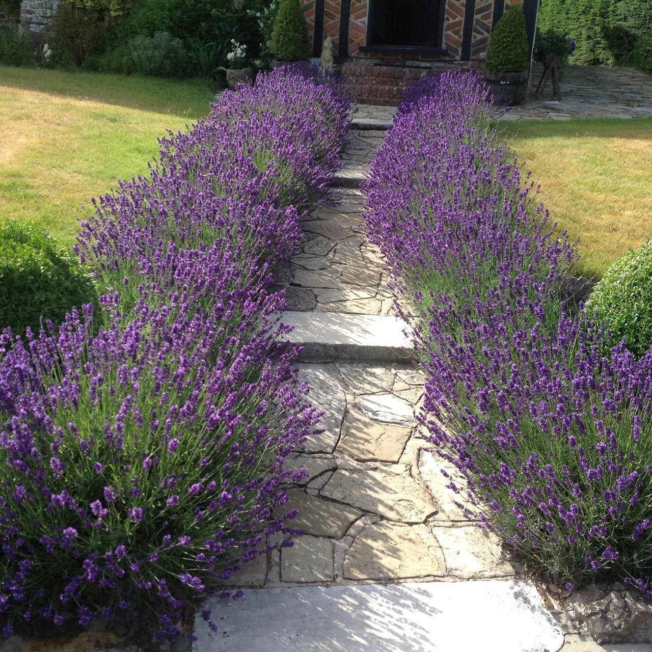 Ви серйозно? Макарони з сардельками? Це ж їжа для студентів. Мої діти такого не їдять. – Нічого страшного, смачно і швидко, – відповіла Марина, намагаючись триматися спокійно. – Та ну, – відмахнулася Олена. – У мене в багажнику м’ясо для шашликів, гарний маринад. От мої діти будуть їсти шашлик. А ваші… ну хай їдять макарони. Вони ж звикли. Марина відчула, як її лице почервоніло. «Ваші – хай їдять макарони…» Наче їхні діти гірші, другосортні