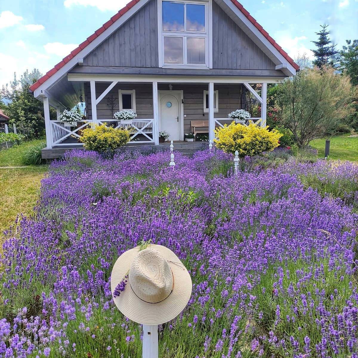 Звичайно, що я помітила переміни в чоловікові, але я ніяк не пов’язувала їх з тим, що у нього хтось є. Яка інша жінка, коли вже пенсія на носі?