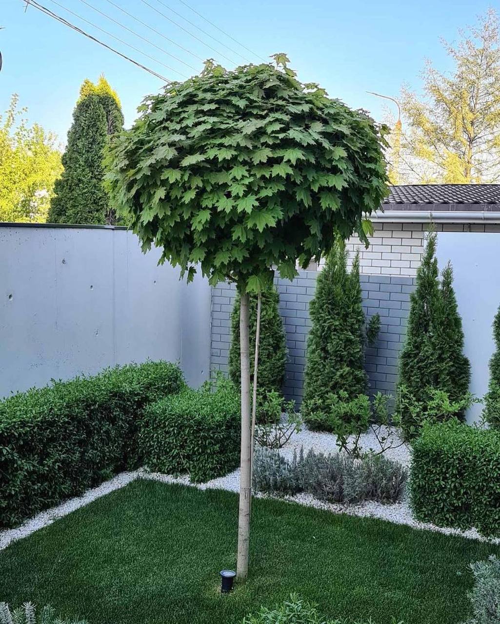 Свого часу ми з чоловіком в усьому собі відмовляли, економили на собі, щоб дати доньці дуже хорошу освіту. А вона, як тільки отримала диплом, вийшла заміж і не захотіла зовсім працювати. – Мамо, я ніколи не просила вас цього робити. Ви самі хотіли, щоб я була щаслива. І я щаслива. Я не хочу працювати. Я хочу добре жити. Я хочу насолоджуватися життям. Чоловік добре заробляє, нам вистачає на хліб і до хліба, більше мені не дзвони