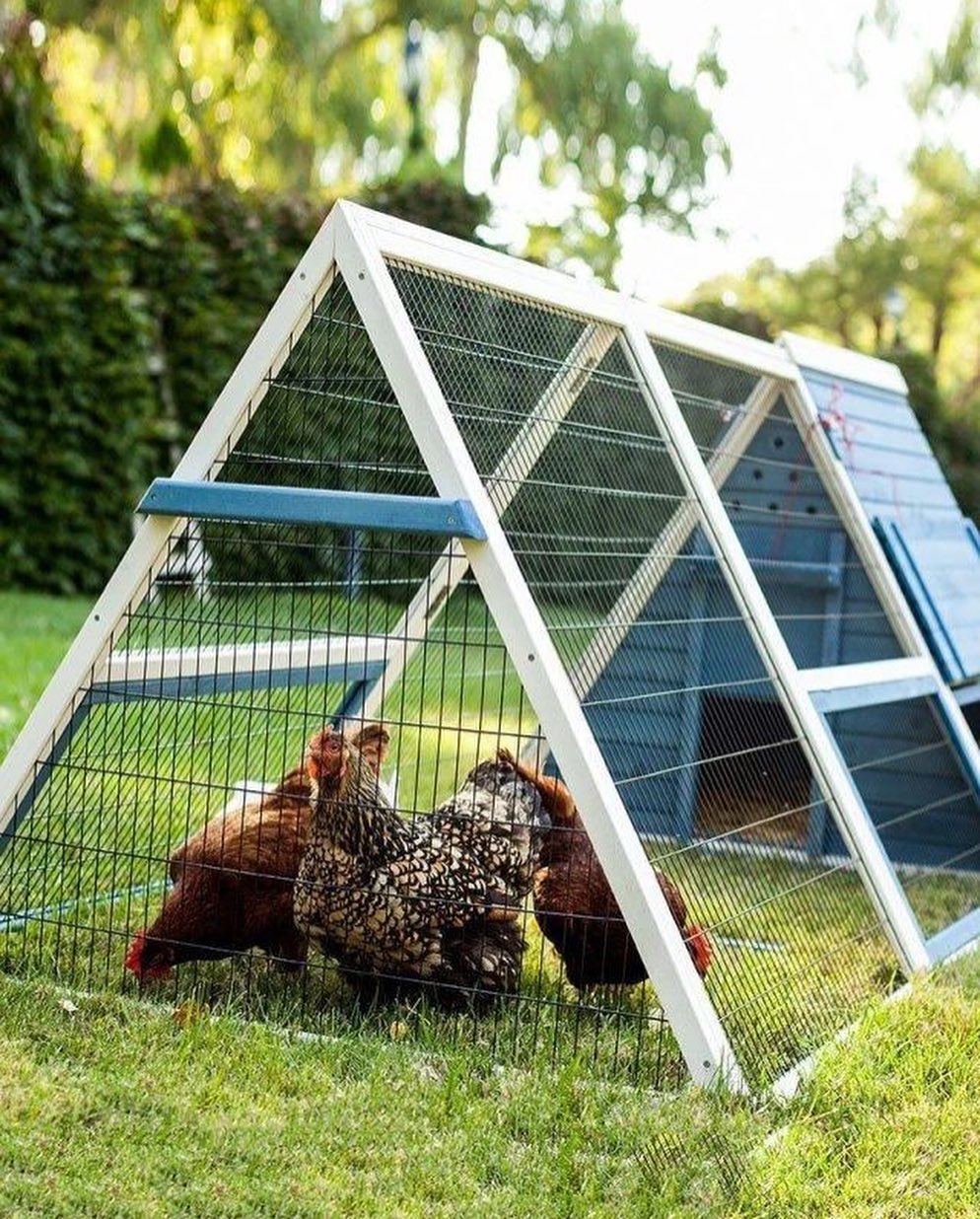 Я готувала вечерю і аж усміхалася в передчутті того, що ось зараз коханий чоловік стане на порозі. Проте, усмішка сповзла з мого лиця, коли я побачила, хто ж прийшов. Від такого нахабства мені аж подих перехопило і цього разу я таки не буду мовчати!