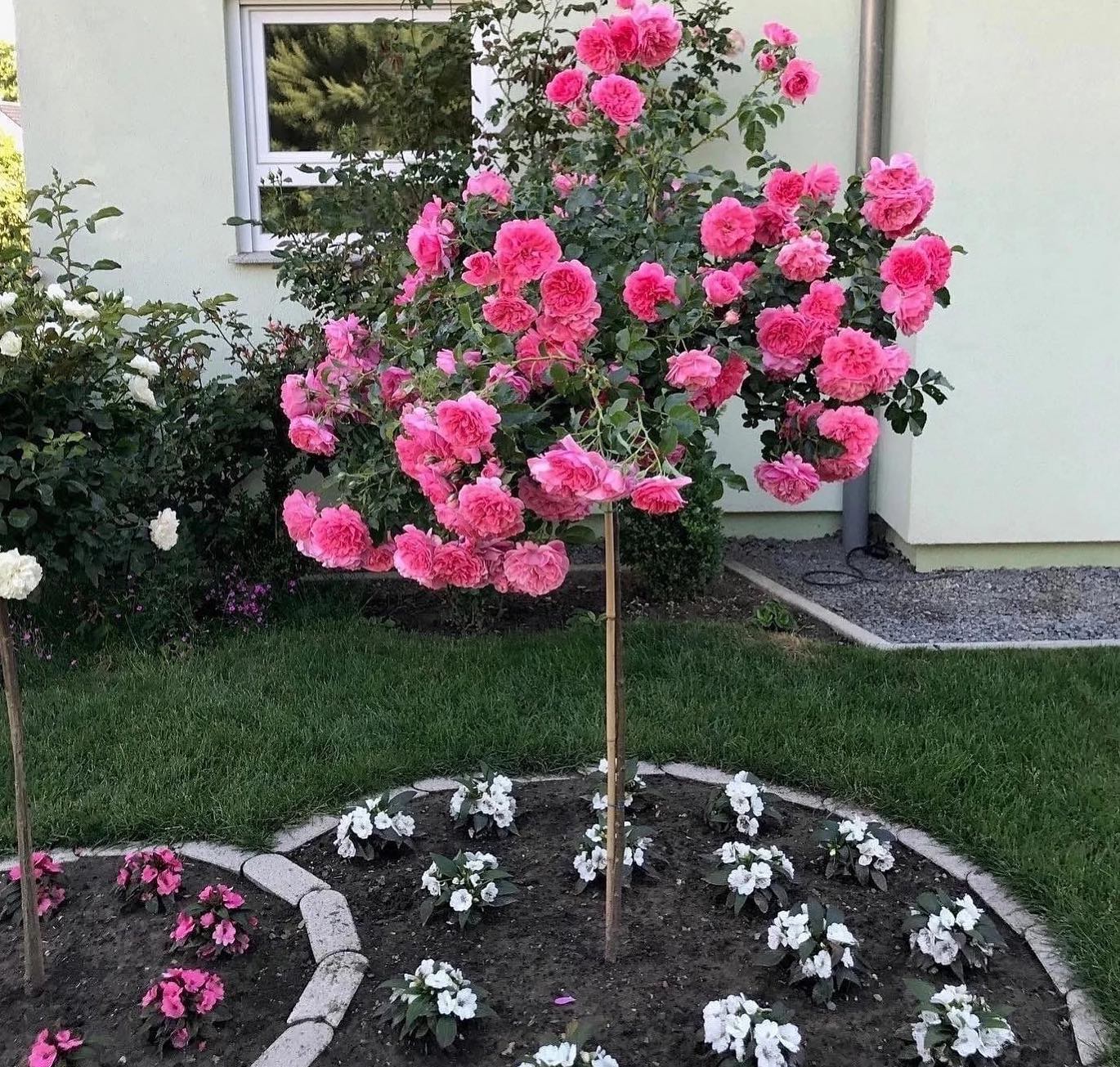 – Ну й навіщо? Душевні листи, запрошення в гості? У тебе в будинок зайти не можна, спорожнити шлунок завжди хочеться. А я дурень думав, що нарешті знайшов свою рідну душу. Чи не забула ще кому листи писала? Микола я. Приїхав, як і обіцяв