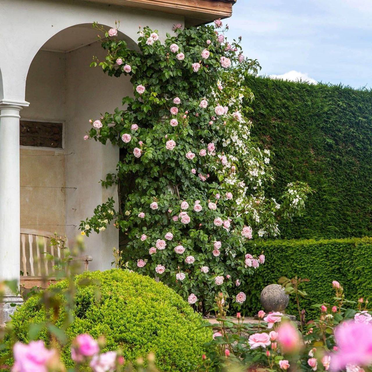 Коли невістка сказала, що її мама їде на поміч із малюком, я здивувалась, бо ж вони у мене жили і я хоч працювала. та повернувшись із роботи одразу брала дитя і давала Олі відпочити. Ну, але сваха теж бабуся, то чого маю боронити їхати? Погодилась я на свою голову.
