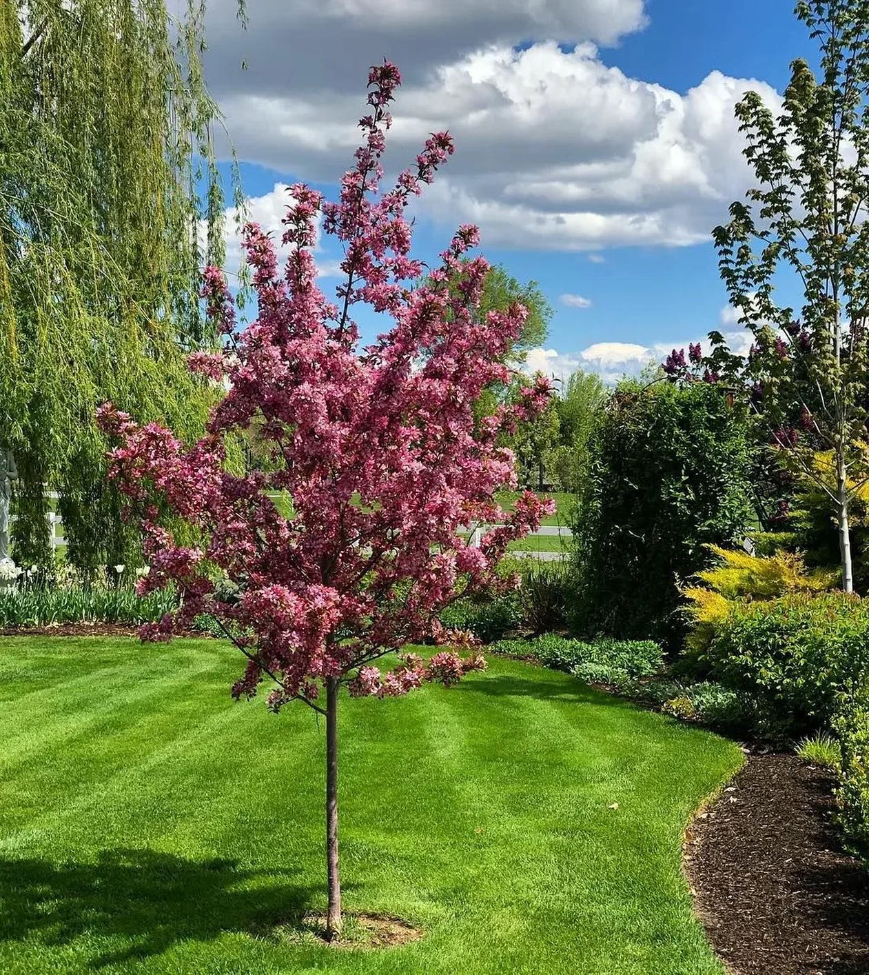 Відколи Людмила пішла від Дениса й розлучилася з ним, так і не признавшись, що носить під серцем його дитину, минуло дванадцять років