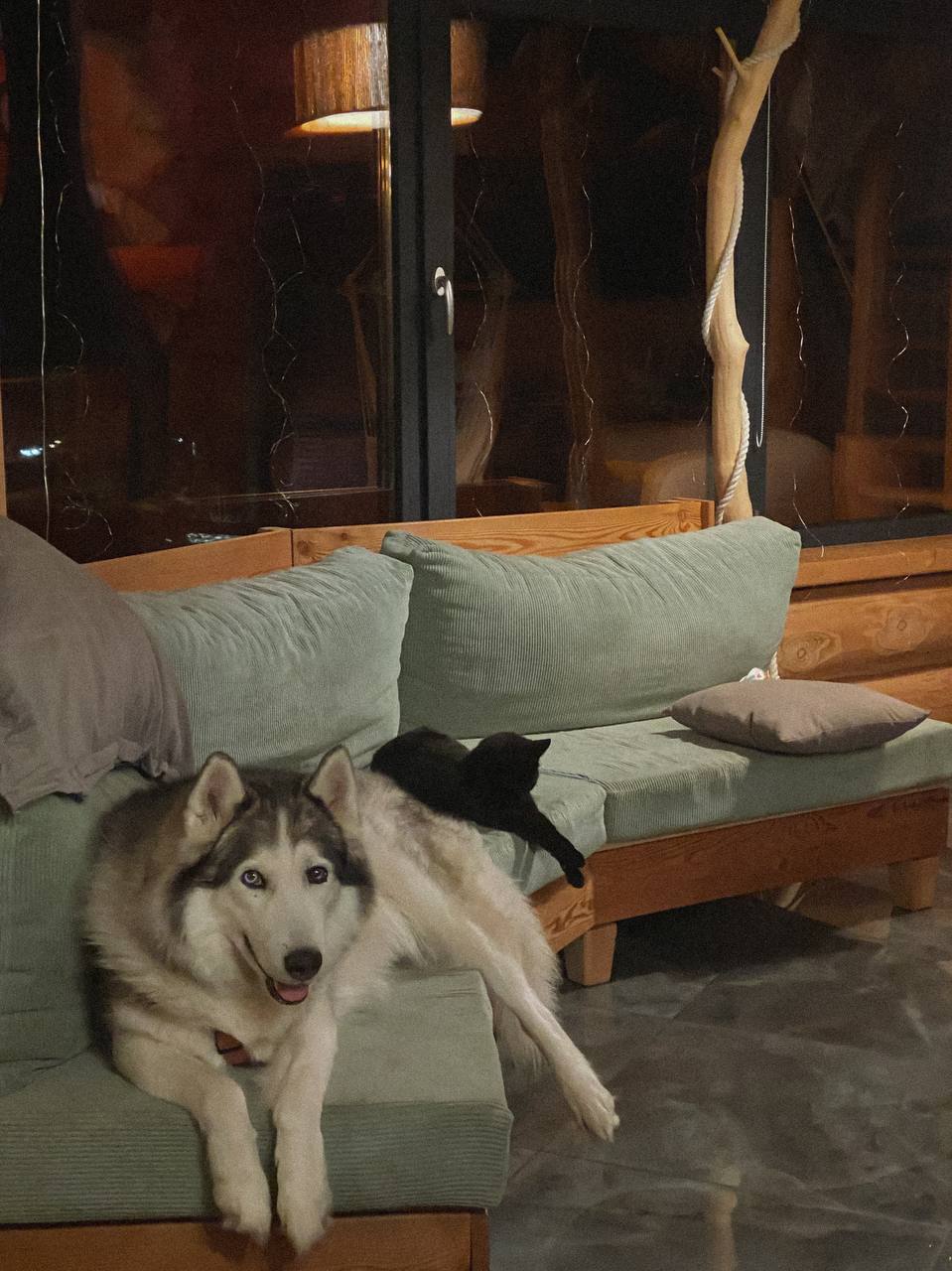 — Варто було мені поїхати по роботі на два дні, як твоя мати вже перебралася до нас додому і викинула частину моїх речей! І ти вважаєш, що це нормально, Олесю