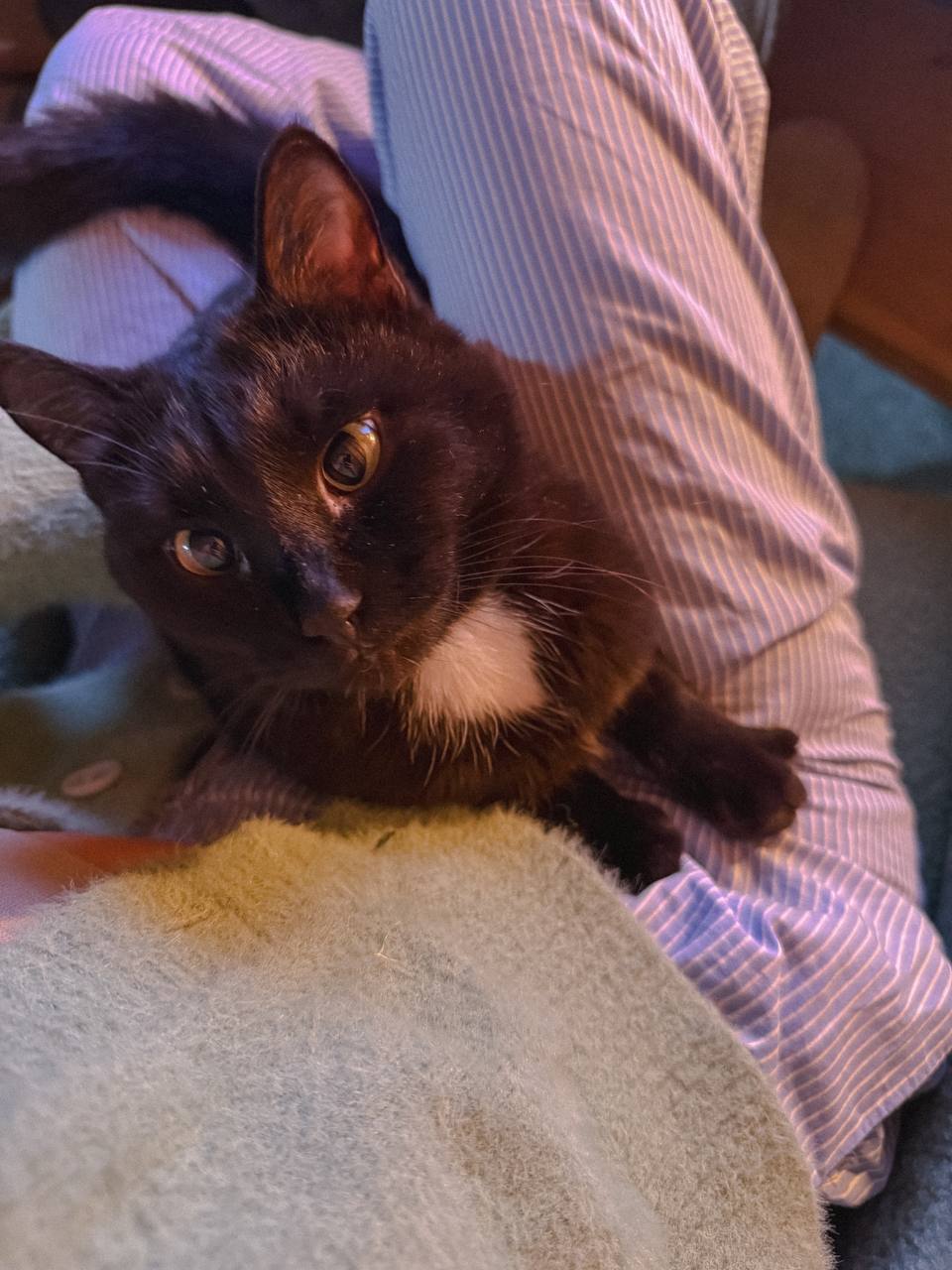 – Ти така схожа на Нюшу, – прошепотів чоловік. – Зізнайся, це ж вона прислала тебе до мене