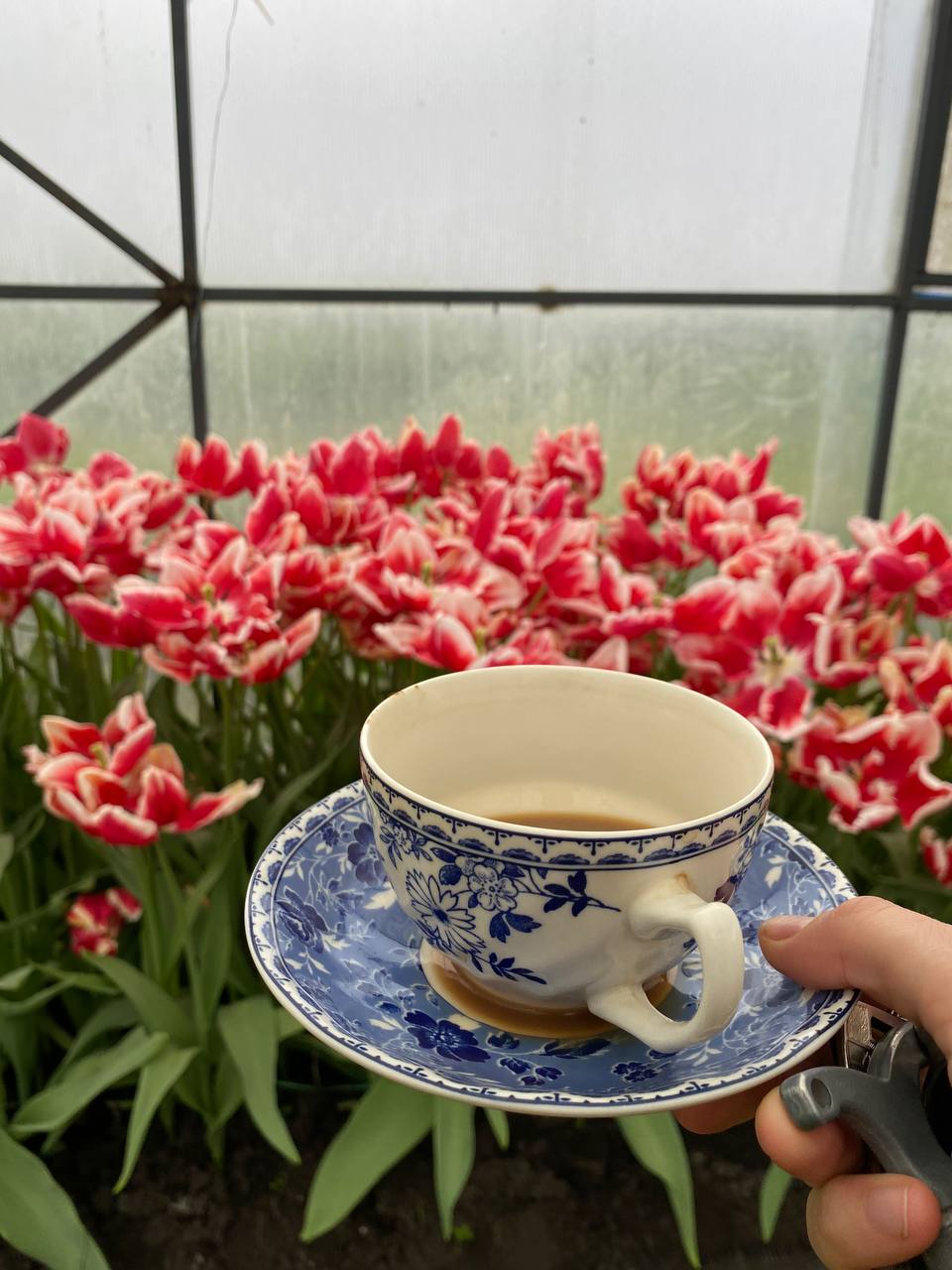 Надійко, це ж свята. От як я маю сказати родичам, щоб вони не приїжджали? – каже мені чоловік. – Мама вже збирається до нас, в понеділок приїде.  – І що вона збирається у нас цілий тиждень робити? Великдень аж в неділю, – уточнюю я. – Так не тиждень, два тижні мама збирається у нас гостювати, – попередив чоловік. В мене слів забракло. Що я робитиму з свекрухою два тижні