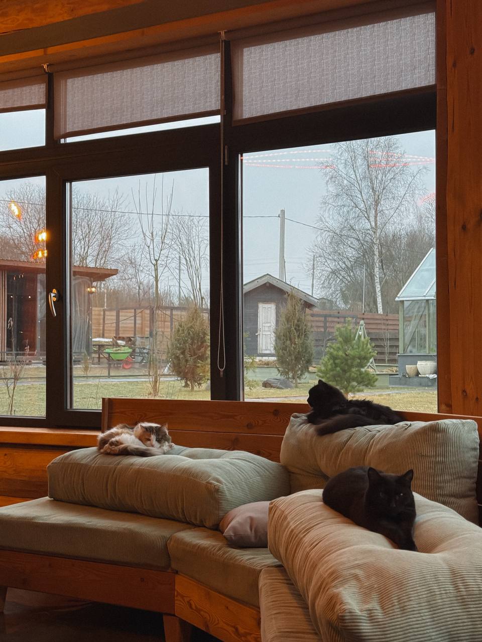 — У них що, будинок маленький? — не слухаючи його, продовжувала Марина. — Або їм для нас місця шкода? Знаю я цих багатіїв! Тільки свої заходи сонця на фото виставляти, а рідню до себе не покличуть