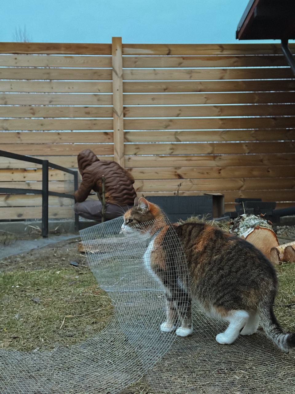 Не ображайтеся на неї — вона заслужила те, що отримала. І не ображайтеся на мене — я хотіла, щоб мій будинок залишився будинком, а не перетворився на товар