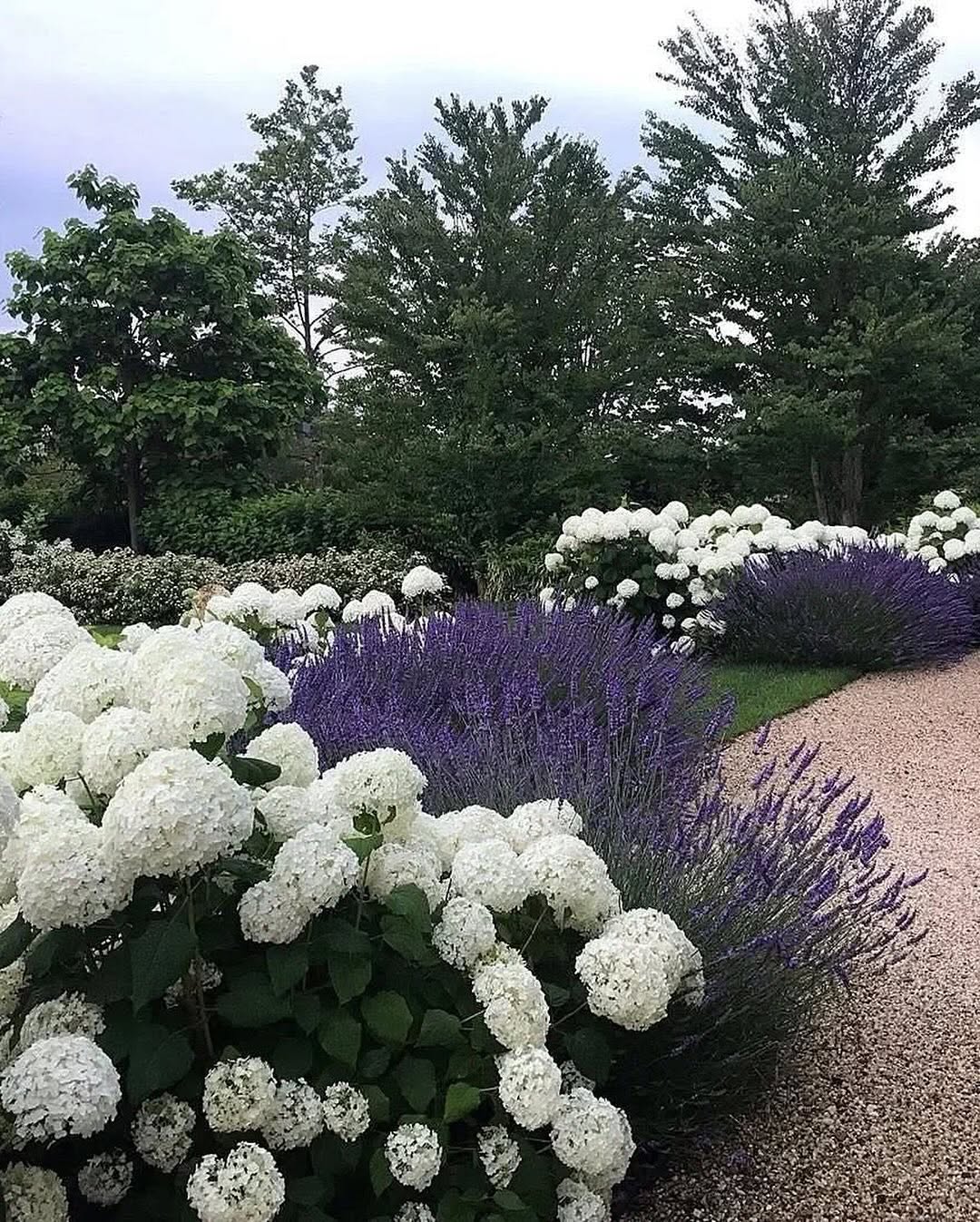 Правда, висловила своє «фі» з приводу відсутності свіжого ремонту, але Микола швидко припинив ці обурення дочки. – Ти, Лара, просто інші орендовані квартири не бачила. Здають однокімнатні-двокімнатні з бабусиним ремонтом, а грошей деруть, як за апартаменти.