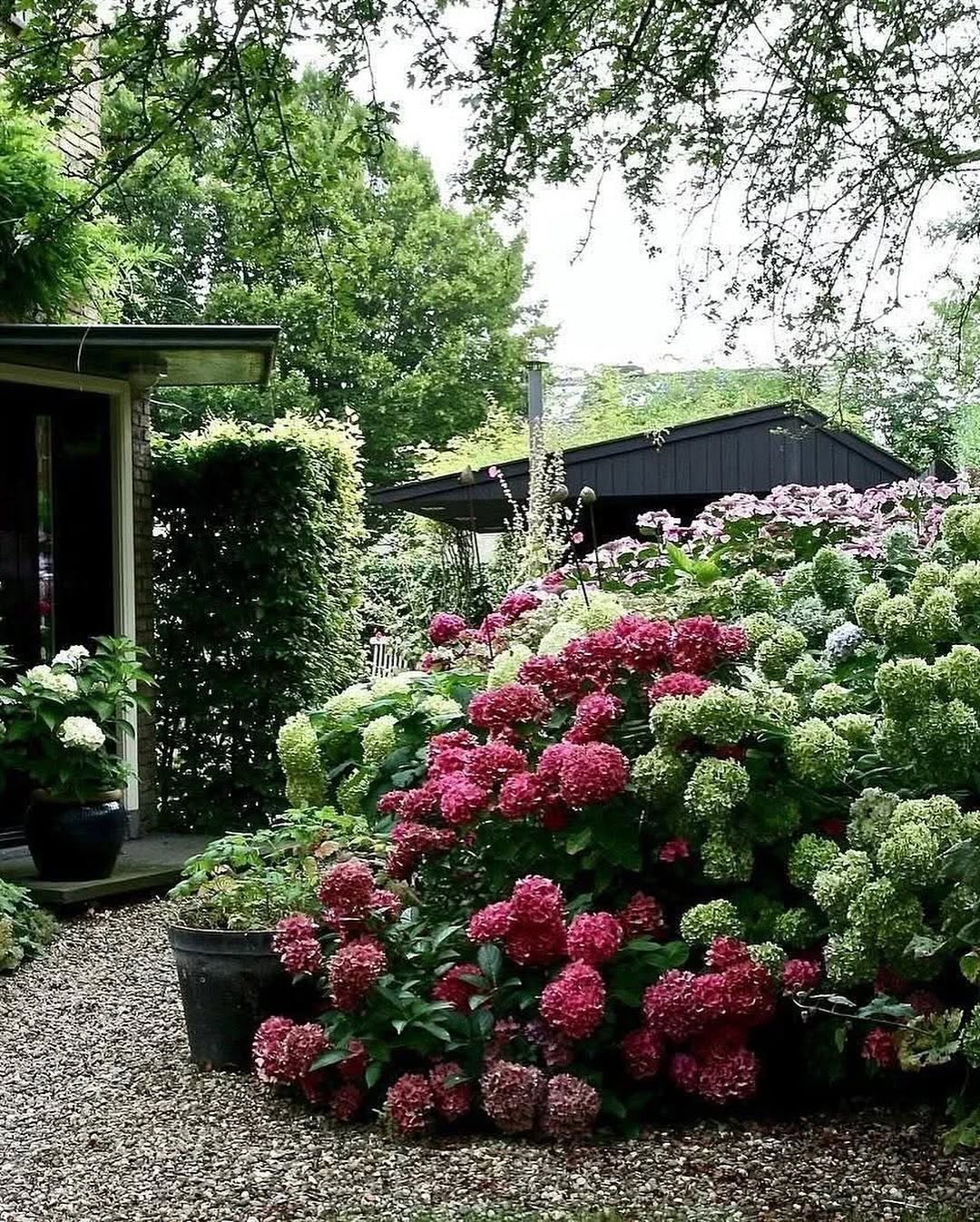 – Ви придумали круто! Твоя мама здаватиме свою квартиру, щоб жити з нами, а я ще танцювати від радості повинна? – Арина в цей момент розливала суп ополоником і ледве стримувалась від бажання стукнути ним чоловіка по верхівці