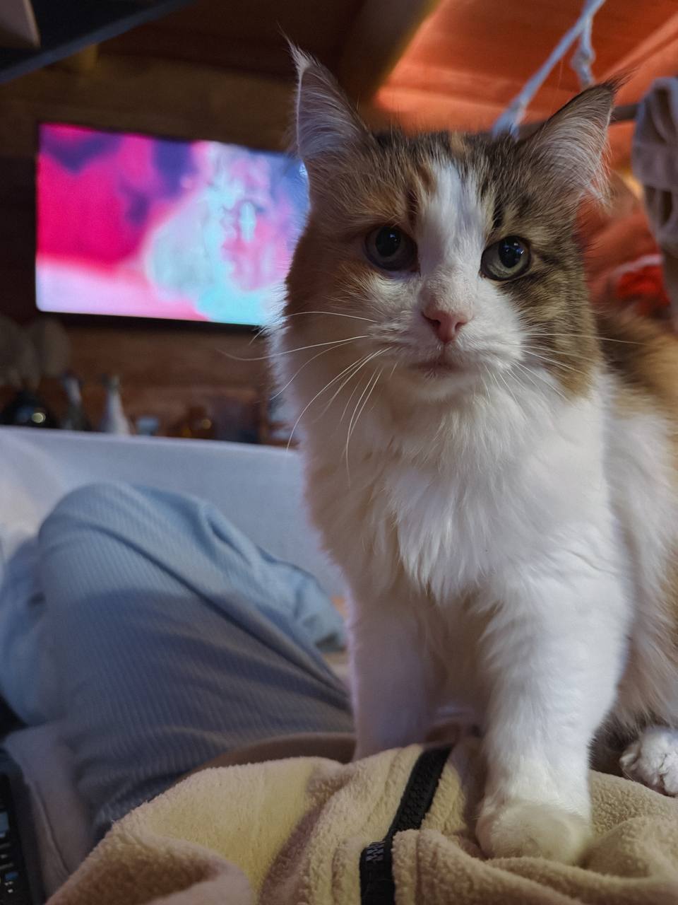 — Я пам’ятаю минулі вихідні. Я пам’ятаю, як стояла в цій позі сорок хвилин без перерви, висмикуючи якийсь пирій. У мене потім спину ломило до самої середи