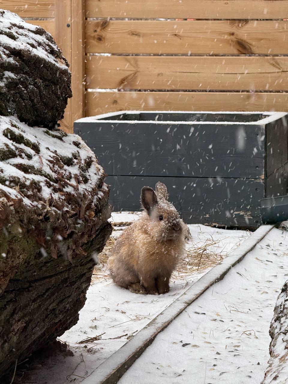 — Роби, що хочеш, тільки щоб дитина не заважала. Я хочу тиші