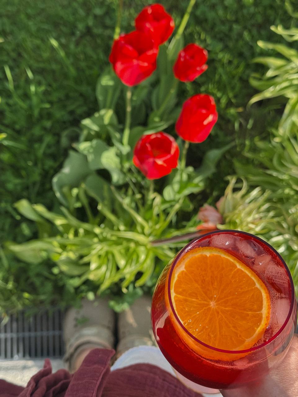 Краще б теща була вдома. Було якось спокійніше