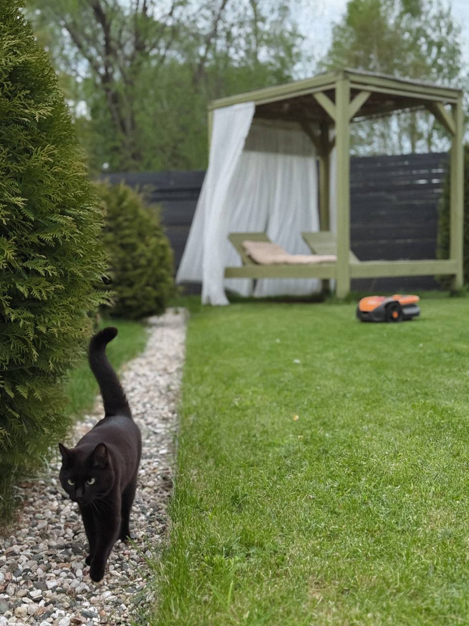 Два дні він відмовлявся їсти кашу з м’ясними шматочками, немов сподіваючись, що його друг повернеться з веселки, щоб поласувати гостинцем