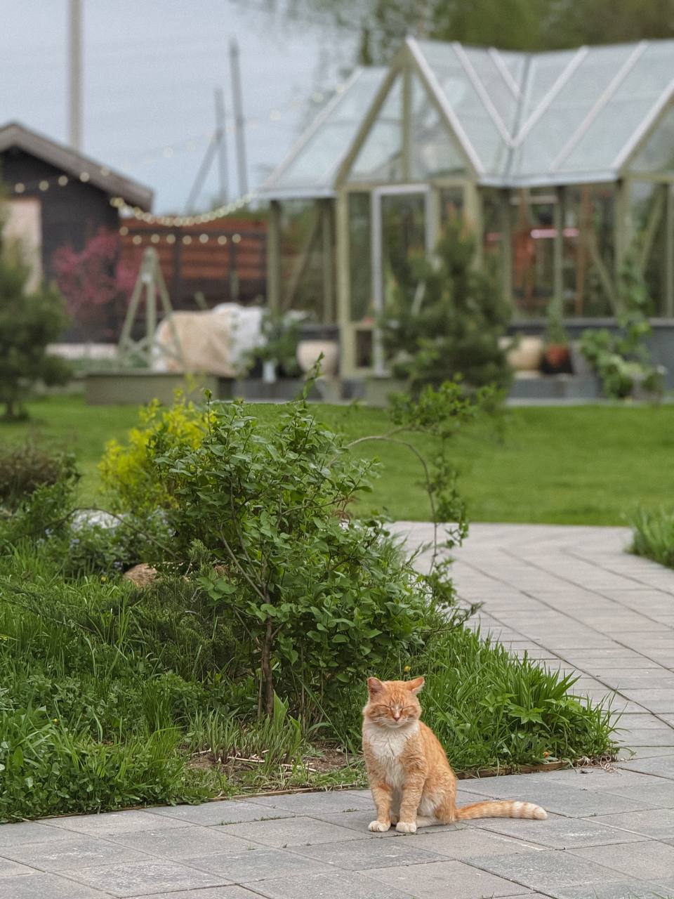 – Скажи, а ти насправді моя мама? – запитала Поліна