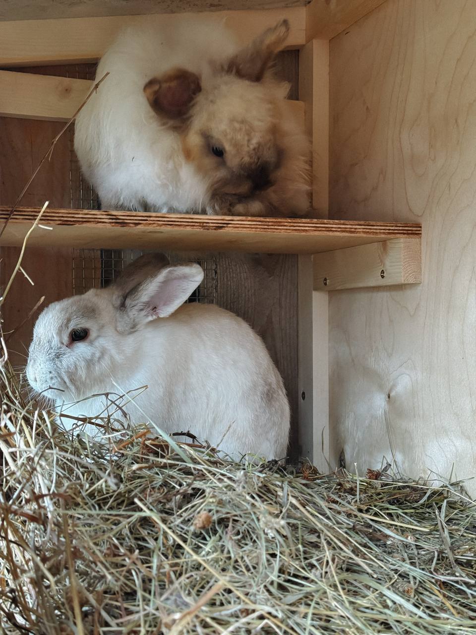 Навіть не думай. У мене є чоловік. Який любить мене і мою дочку. У якого немає токсичної матусі. З яким я можу бути щасливою