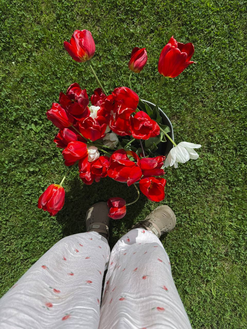 Ірина, спостерігаючи за сусідом, все більше і більше злилася на чоловіка. Вона втомилася бути сильною, їй хотілося бути слабкою і ніжною