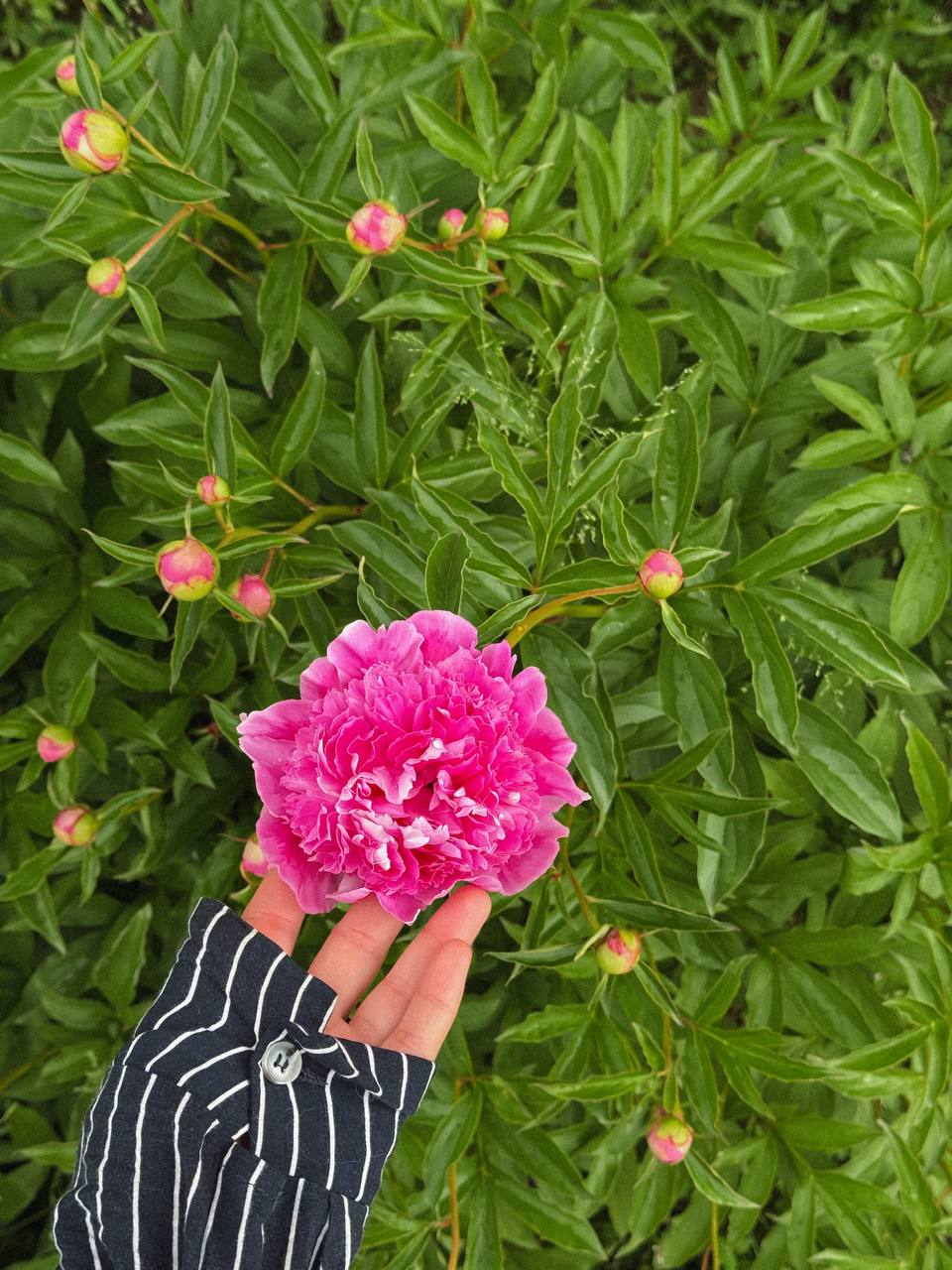 – Синку, мені здається, що вони мають якесь право жити тут – вони доглядали за будинком цілих сім років, платили комунальні послуги