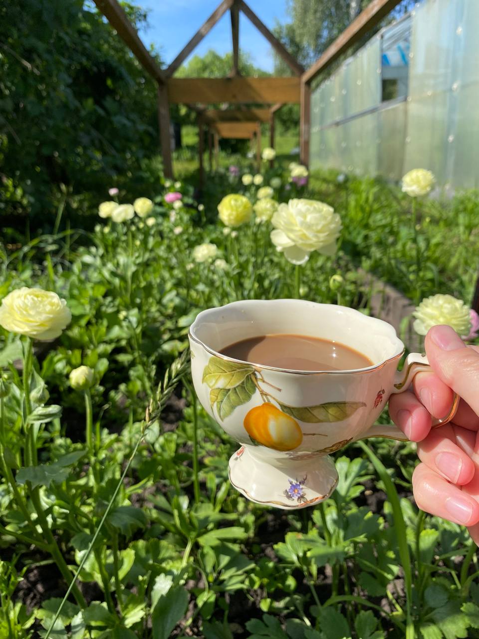 На цю суботу я чекала довго, бо планувала побути вдома і помити вікна. Зранку я гостей не чекала, але в мої двері хтось подзвонив. Я була здивована, адже я сама нещодавно лише переїхала в цю новобудову і своєї нової адреси я практично нікому не давала. Коли я відчинила двері, то оторопіла, бо побачила у себе на порозі свою маму. Вона стояла з валізою, і посміхаючись, запитала чи можна їй увійти