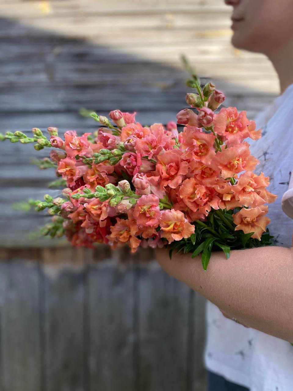– Мамо, ми приїхали поговорити про спадщину. Якраз минає три місяці, й незабаром доведеться оформлювати документи — хто й що отримає. Ми хочемо заздалегідь визначитися, щоб потім не гаяти часу на суперечки