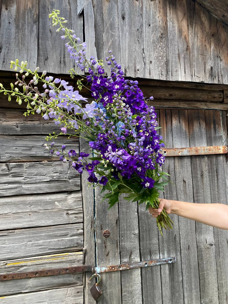 Хвіртка відчинилась і я мало свідомості не втратила, коли поглянула у власний двір. Таксист мені чемодан із авто подає, я повинна розрахуватись, але не тямлю що й до чого, бо те що перед очима була на мій дім уже й не походило