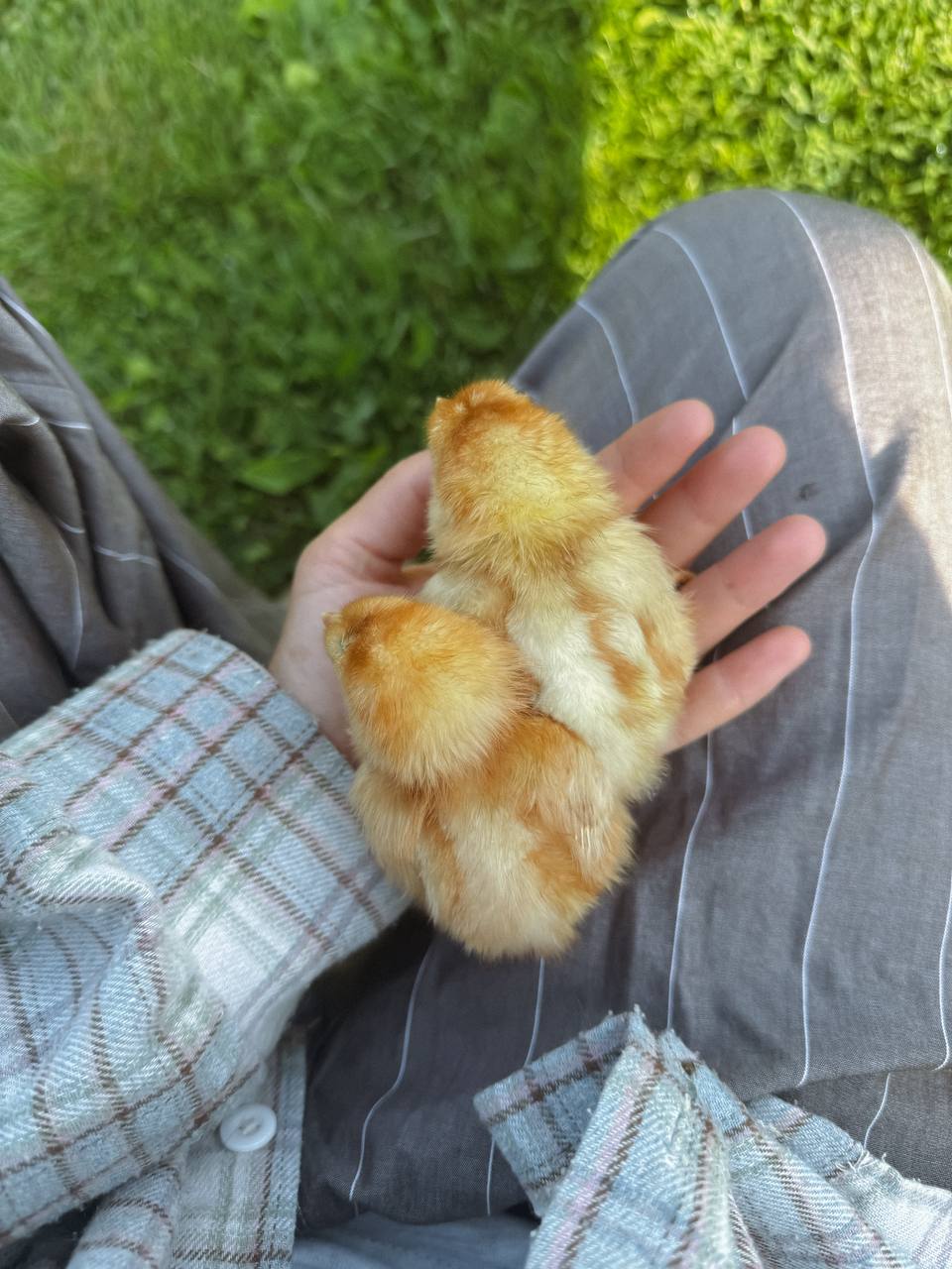 Таксист розповів, як оплачує манікюр дружині і кайфує, а я замислилася