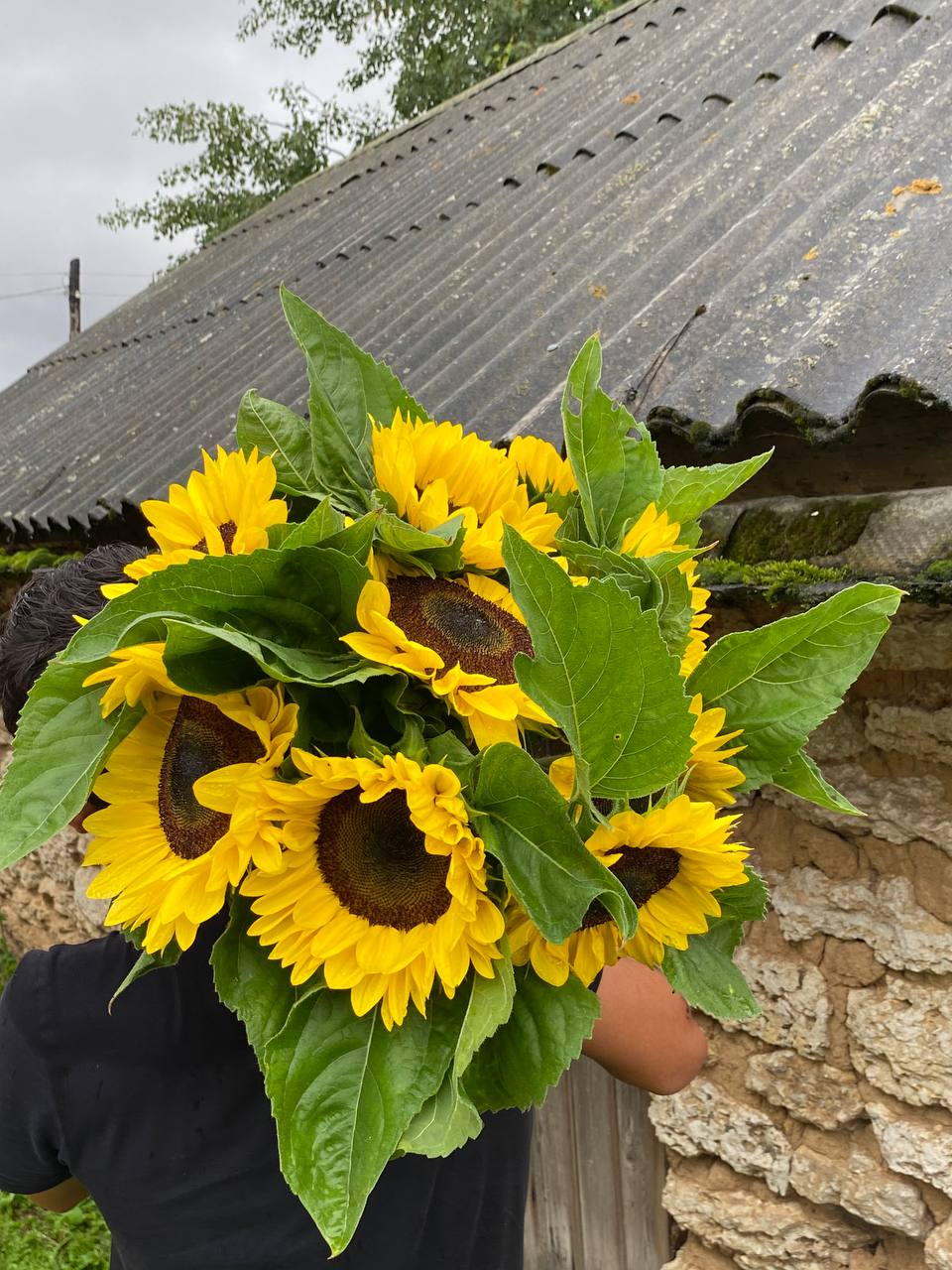 – Який прострочений платіж? Ви щось плутаєте, немає в нас ніяких кредитів… – Так вважала Юля, слухаючи попередження співробітника банку