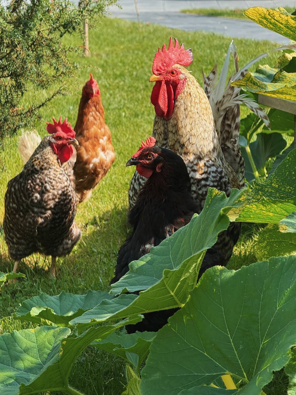 Я не збирався з тобою сваритися, я просто хочу донести до твого розуміння, що тут господиня моя дружина, а не ти! — Ось як? Це теж вона тобі сказала? — Ні! Це я тобі сказав! І припиняй голосити тут! Я просто підійшов з тобою нормально поговорити, а ти розійшлася на порожньому місці! — вже почав злитися сам Віктор. — Ось, значить, як ти з матір’ю, так? — пустила сльозу Олена Григорівна. — Мамо, я не батько, я не поведуся на цей твій спектакль!