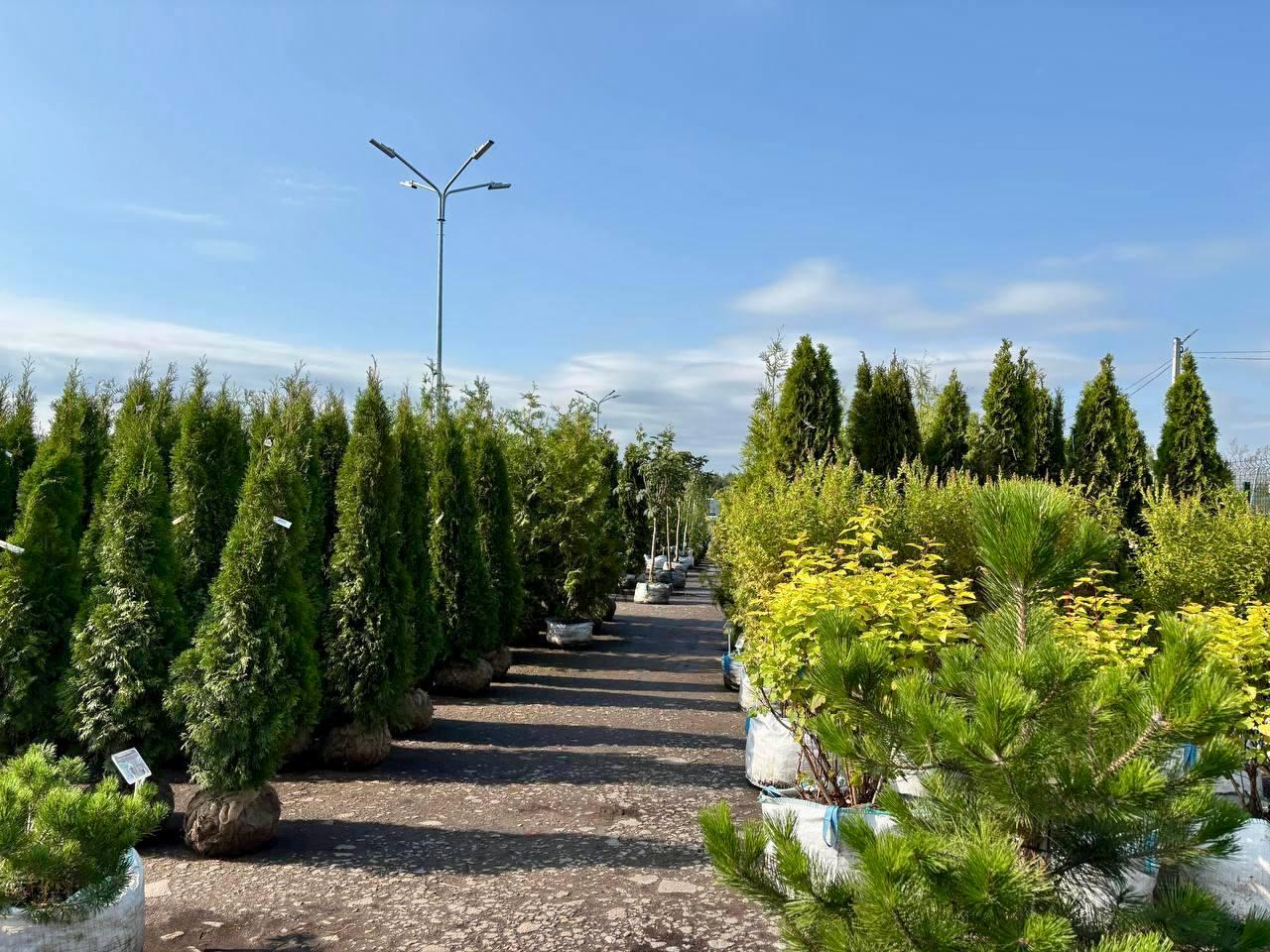 – Ніяких Ксюш я не знаю і знати не хочу! Це дівчисько не гідне жити в нашому будинку! Через неї не стало моєї дитини, мого маленького синочка. Йому було лише п’ять