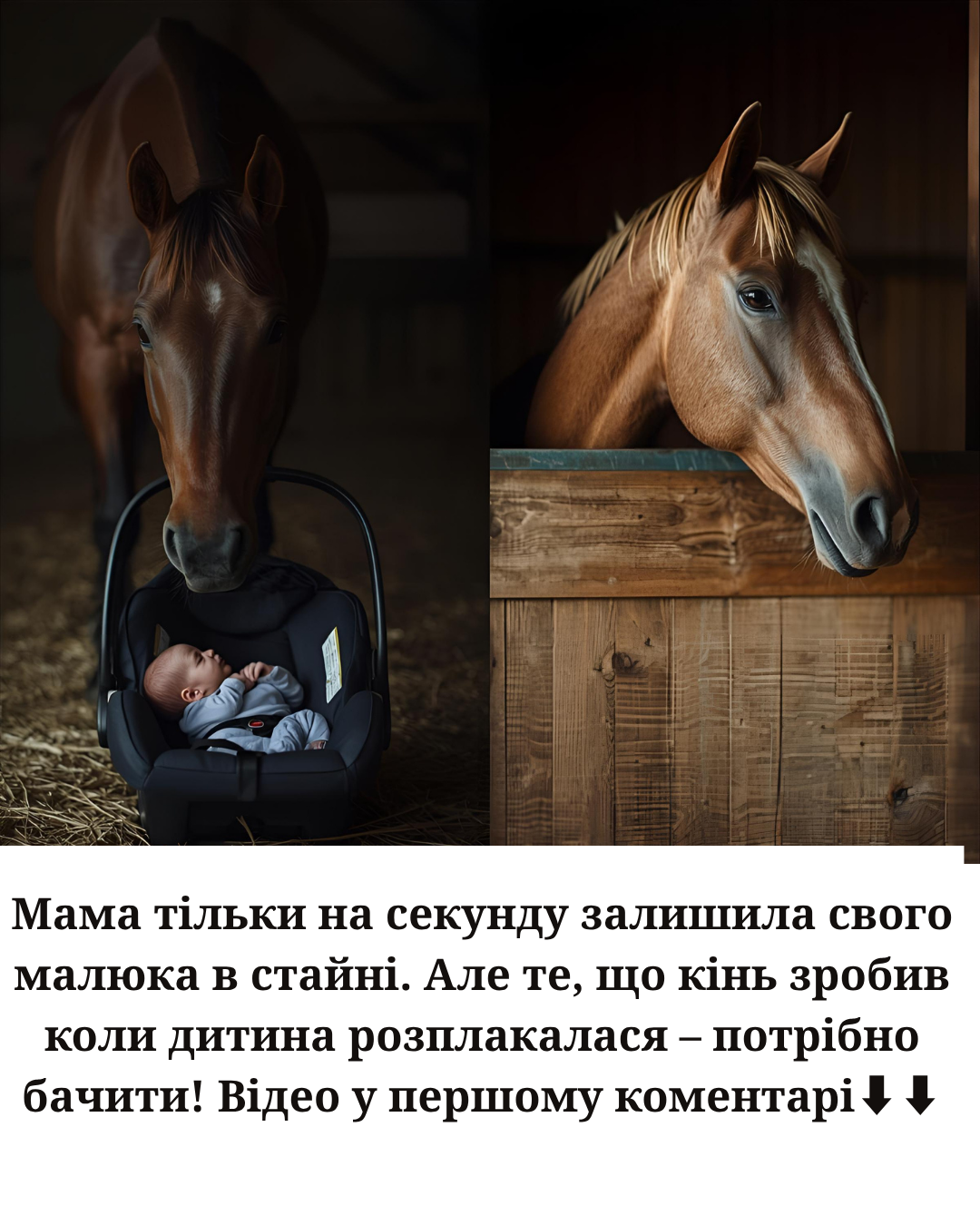 Мама тільки на секунду залишила свого малюка в стайні. Але те, що кінь зробив коли дитина розплакалася – потрібно бачити!