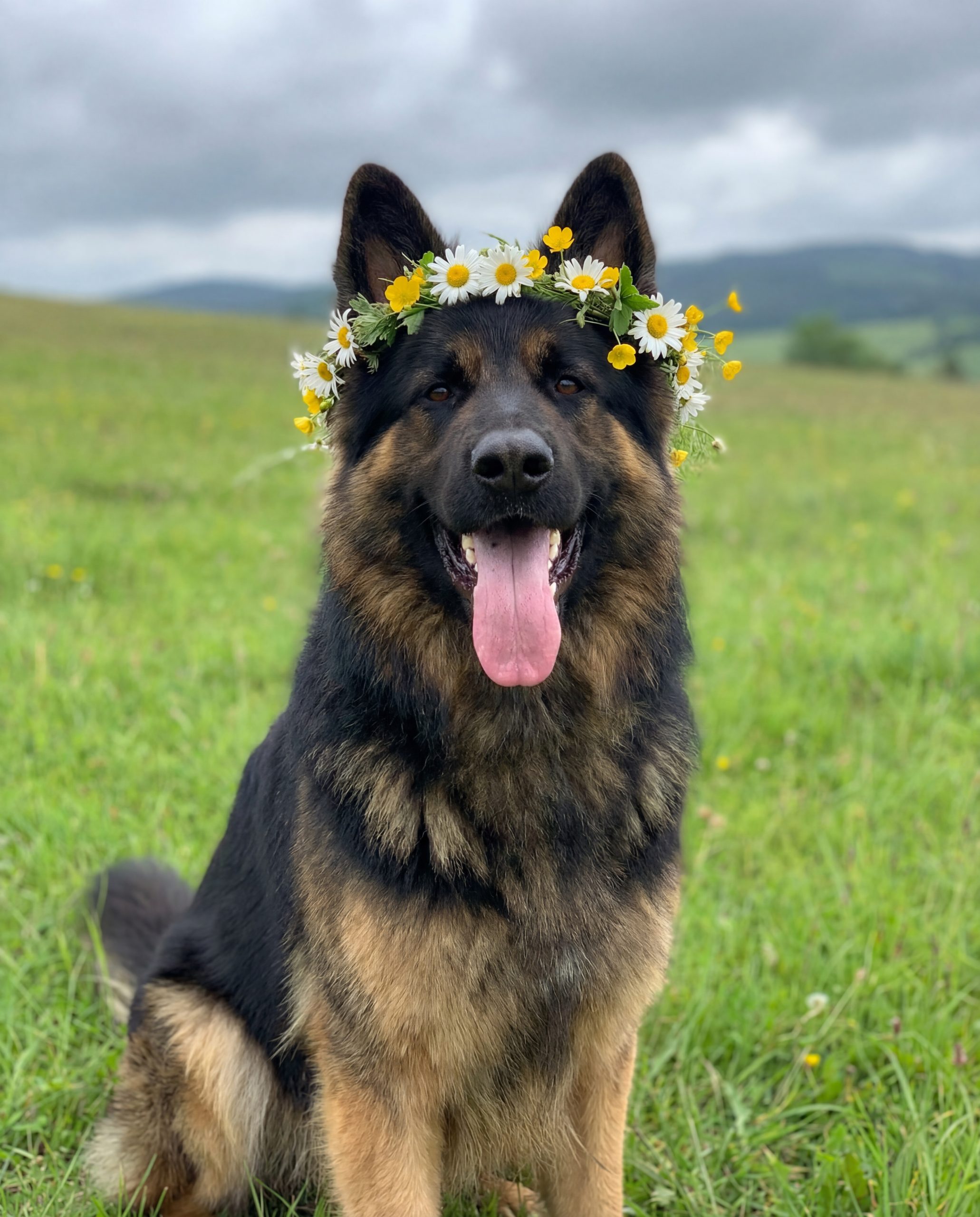 Того дня я попрощалася зі своїм дитинством