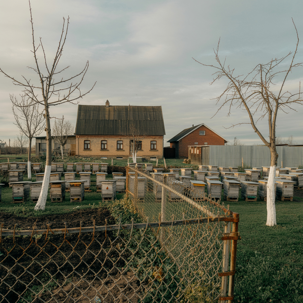 Несподіване новосілля