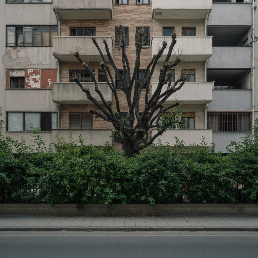 Таємниця колишньої відкрилася.