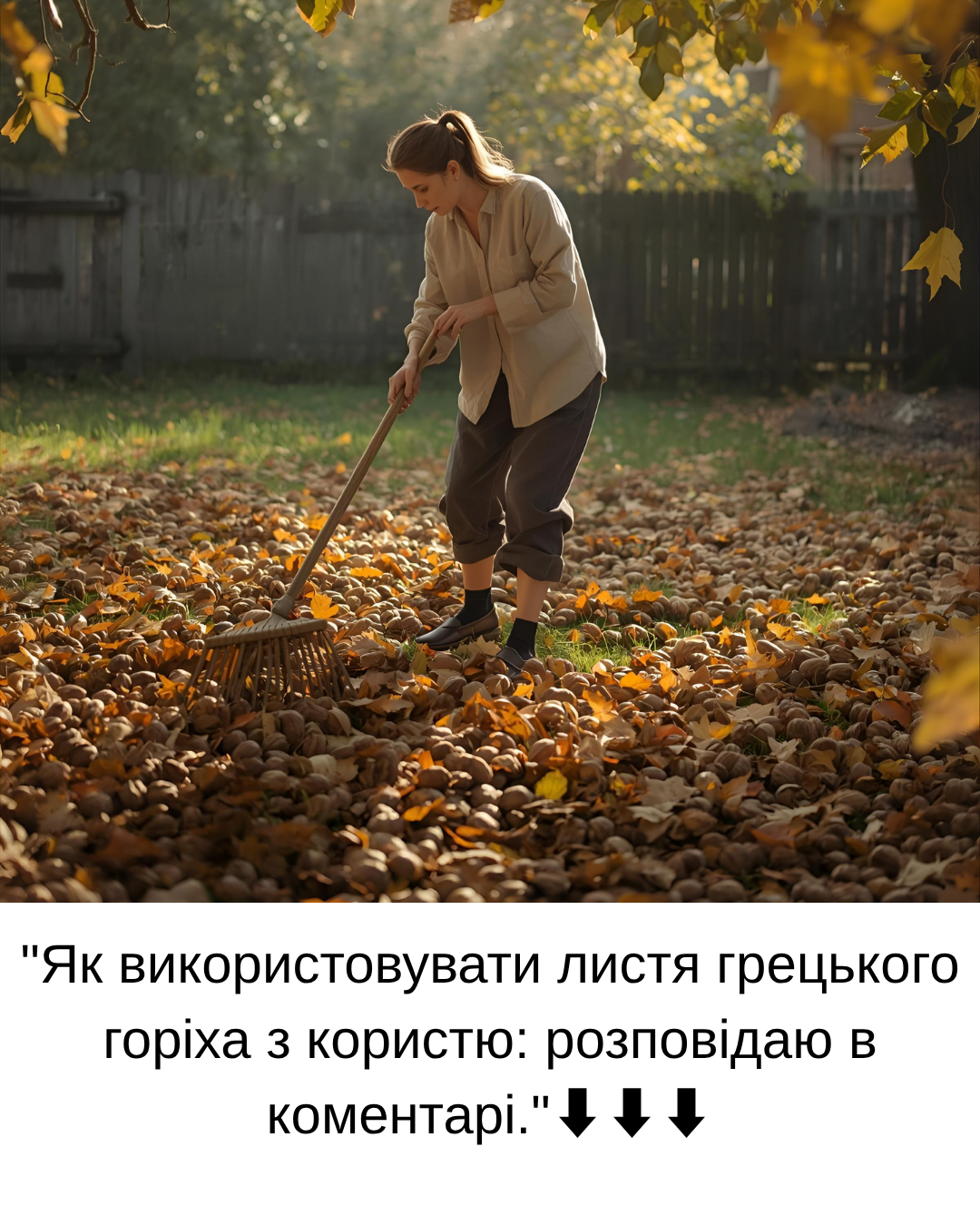 Як використовувати листя волоського горіха з користю